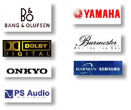 採用顧客（Audio）